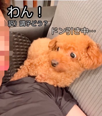 ワン!と声をかける