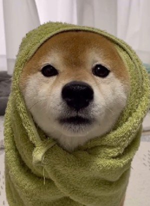 これはたまらない!