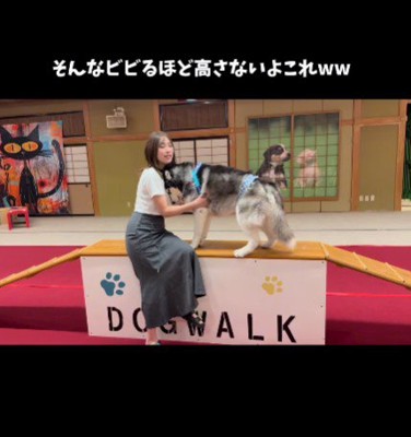 「怖かったよ…」