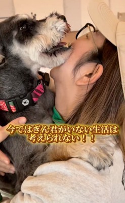 抱っこされる犬