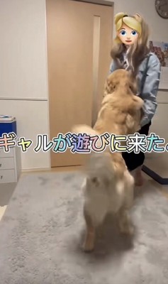 ギャルに飛びつく犬