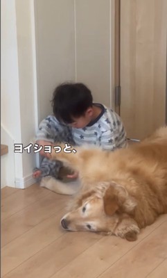 きなこちゃんと二度寝する男の子4