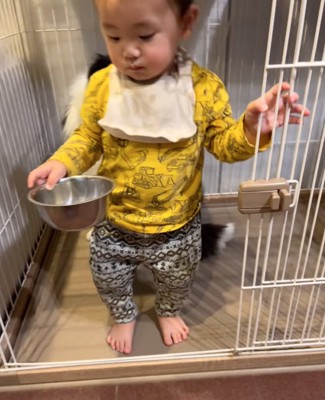 ケージの外に戻っていく