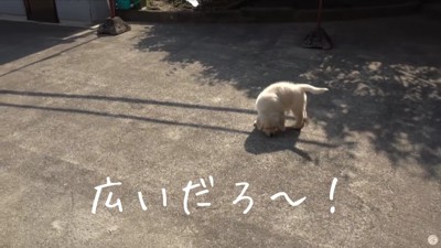 これから楽しくなりそう！