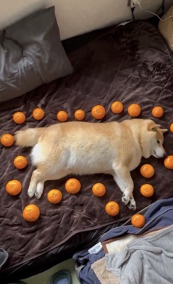 なんとも鮮やか