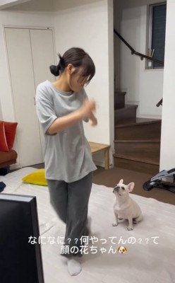 ダンスする高校生と見つめる小型犬
