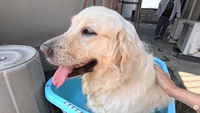 「気持ち良い~♪」