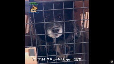 Miki Japanの施設へお引越し