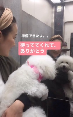 エレベーターに乗る女性と犬