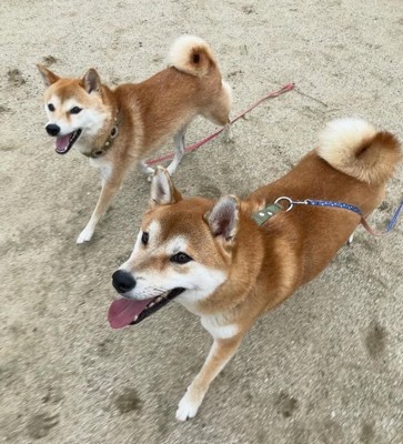 笑顔が可愛い♡