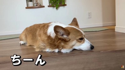 切ない表情から愛が伝わる…