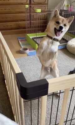 将来がとっても楽しみ