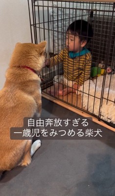 まさかの立てこもり！？