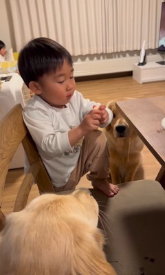 りんごをもらうモナちゃん＆ニコちゃん4