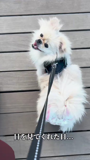 目を合わせて笑ってくれるように…