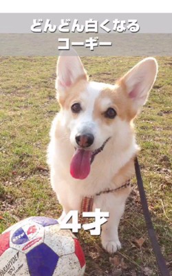 キリッと美形に♡