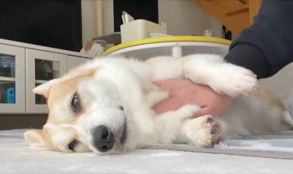 目を細める