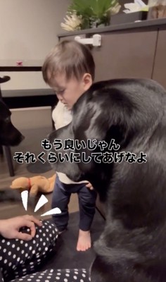 どん兵衛くん、ママの手をトントン