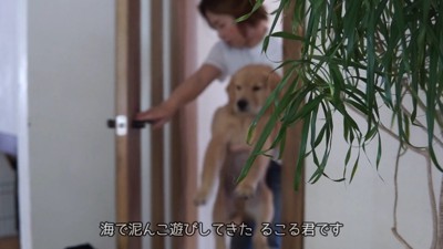 るこる君の初シャンプー