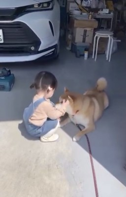 「近寄り禁止令」は解除！