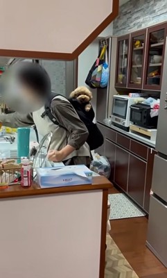 ウトウトするバッキーくん