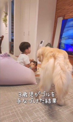 テレビを見る男の子の邪魔をする大型犬