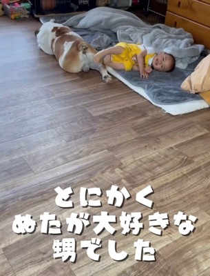 犬の足にくっついて寝転ぶ子ども