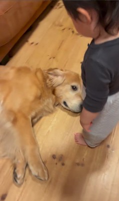 レアくんと赤ちゃんの寝る前の日課2