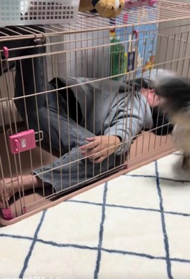 パパが寝落ちした場所とは…