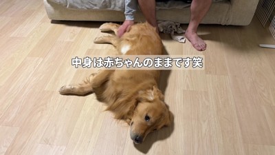 3歳でも赤ちゃん気分!?