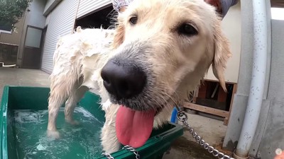 さっぱりして気持ちいい♡