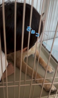 おふとん君と男の子