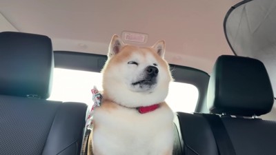 「家に帰ってるんだ…」