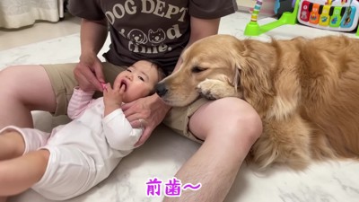 ほのちゃんの歯磨き