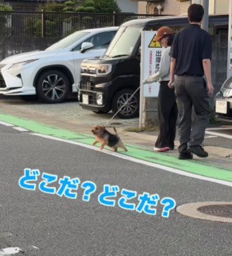 パパの存在を確信