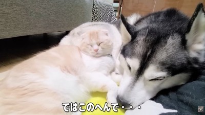 愛に溢れた光景にほっこり♡