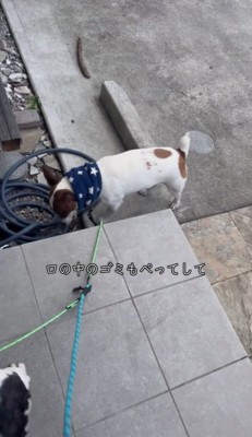 口の中のものを出すバディくん