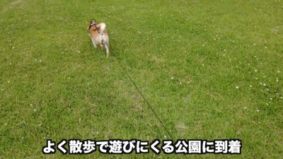 来たことがある公園に到着！