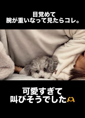 心の中で悲鳴!?