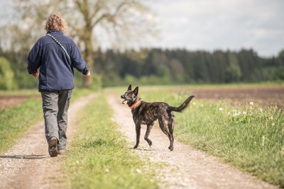 リード無しで散歩する人と犬