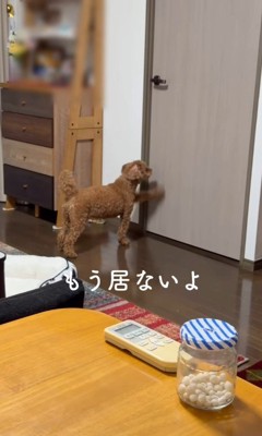 諦めきれずにドアを引っ掻くタローくん