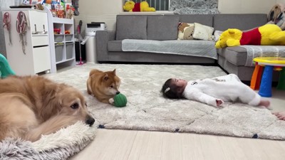 歯磨きが日課の3兄妹