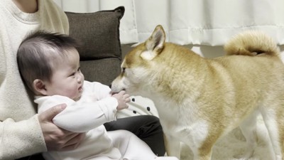 徐々に落ち着いてきたみたい…