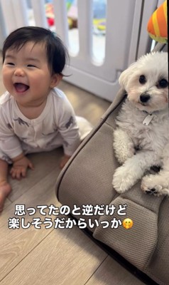 あさりちゃんと赤ちゃん⑩