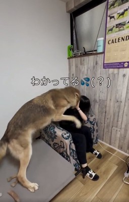 制止するお姉ちゃん