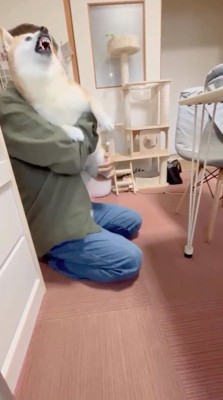 男性に抱き上げられる犬