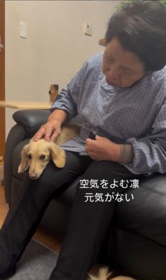 おばあちゃんとの別れを惜しむワンコたち4