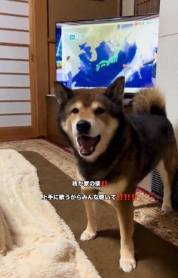 カメラ目線のしゅんくん