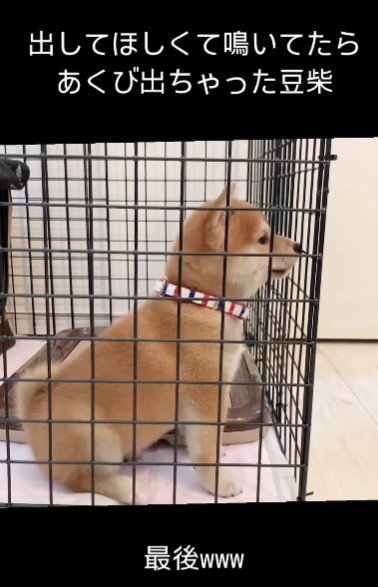 眠たくなってきた?