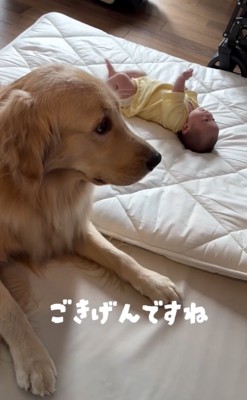 サニーくん、ひと安心。